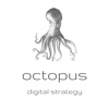 Octopus Digital Strategy artwork