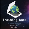Training_Data artwork
