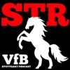 STR - VfB Stuttgart Podcast artwork
