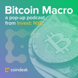 Josh Brown on Protest Assets, Bitcoin Pessimism and Possibility