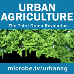 Urban Agriculture 10: Quinoa and asparagus
