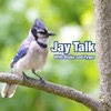 Jay Talk artwork