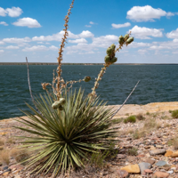 Southeast Colorado Reflections of Faith podcast
