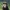 Sadhguru's Podcast