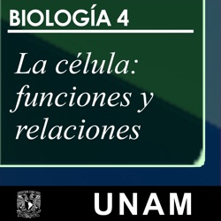 La célula: funciones y relaciones