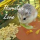 Hamster Zone