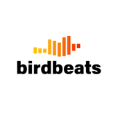Birdbeats - der Podcast für Ornis - Samuel Houcken, Kalle Nibbenhagen, Lenni Haak und Simon Kiese