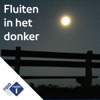Hoorspel : Fluiten in het donker
