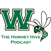 Hornet Hive - Kelly Campbell