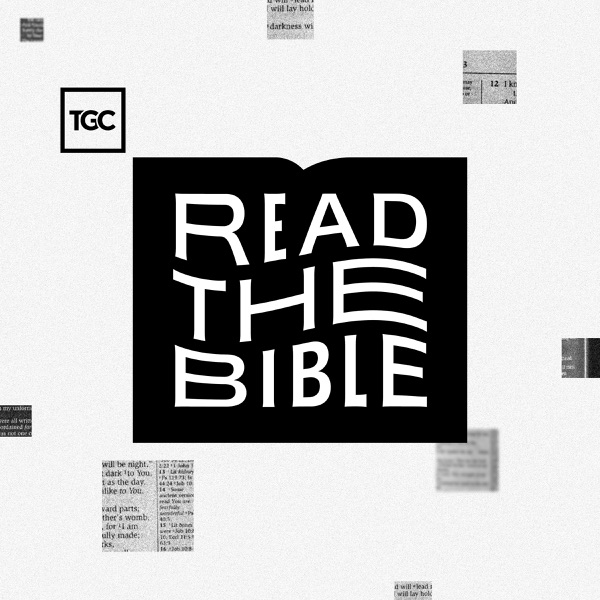 Artwork for Read The Bible