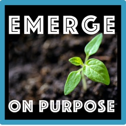 Emerge on Purpose: 3 Coaching Tips to Turn B Players to A Players