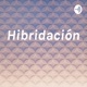 Hibridación