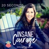 20 Seconds of Insane Courage artwork