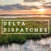 Delta Dispatches artwork