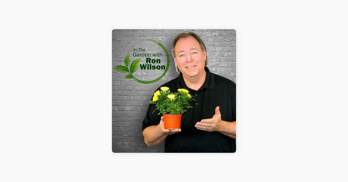 In The Garden With Ron Wilson On Apple Podcasts