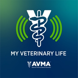 My Veterinary Life