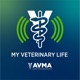 My Veterinary Life
