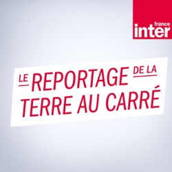 Aire d'accueil des gens du voyage #1 - Pruna, 19 ans : Les raisons de la colère