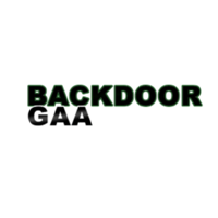 BRIAN HANLEY | GALWAY HURLING AT A CROSSROADS