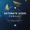 Saturate Audio Podcast artwork