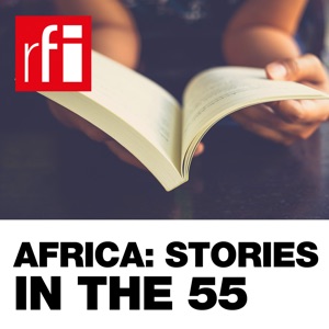 Africa: Stories in the 55 - Camaraderie and Irish attitudes in Nigerian writer’s short story collection