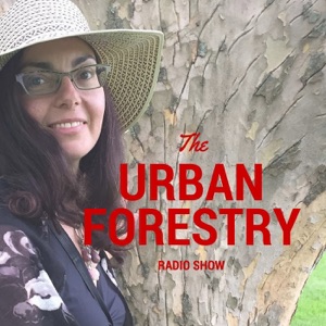 Episode 51 – Back from the Brink: Grafting and Growing Jesuit Pear Trees