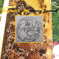 Yolybear's Beekeeping Journal podcast