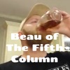 Beau of The Fifth Column artwork