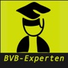 BVB-Experten  artwork