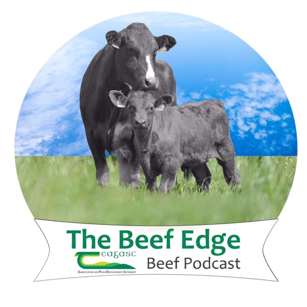 The Beef Edge