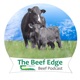 Updates on the suckler and dairy beef herds in Grange & a preview of BEEF2024