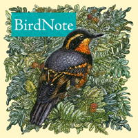 BirdNote Daily podcast