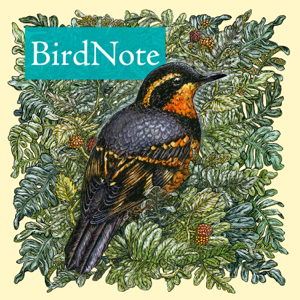 BirdNote Daily podcast