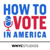 How to Vote In America artwork