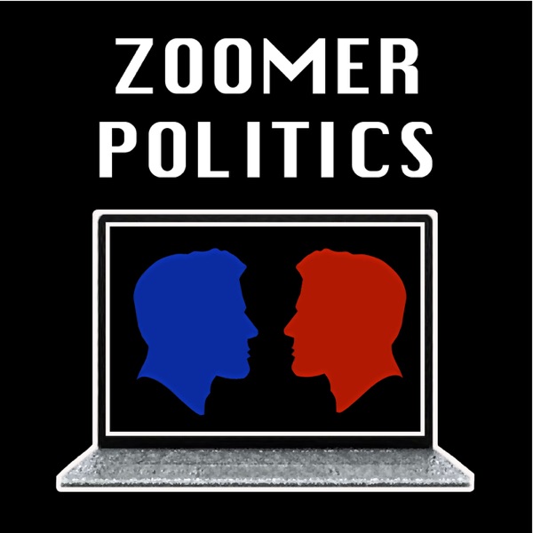 Zoomer Politics Artwork