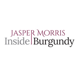 Jasper Morris Inside Burgundy