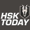 HSK Today artwork