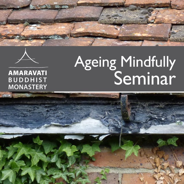 Ageing Mindfully Seminar 2012 Artwork
