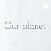 Our planet artwork