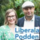 Mittenstyrets budget för 2021: Mohamad Hassan intervjuar Helena Hedman Skoglund