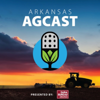AgCast: John Gavin on 2018 Tomato Production