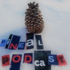 Pineal Podcast artwork