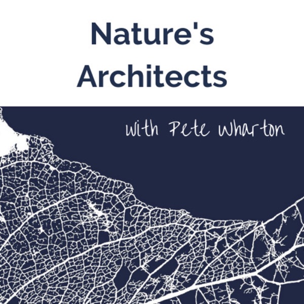 Nature's Architects