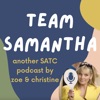 Team Samantha artwork