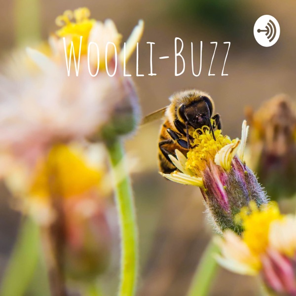 Woolli-Buzz Artwork