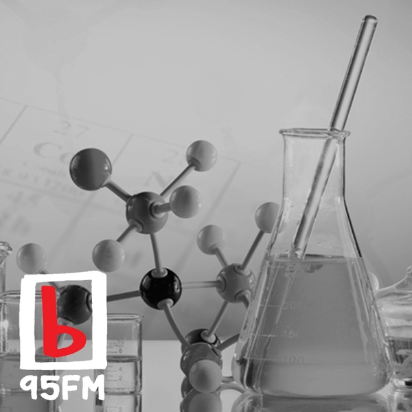 95bFM: Dear Science Artwork