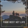 Your Best Vet Life artwork