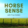 Horse Sense artwork