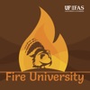 Fire University artwork