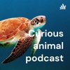 Curious animal podcast artwork